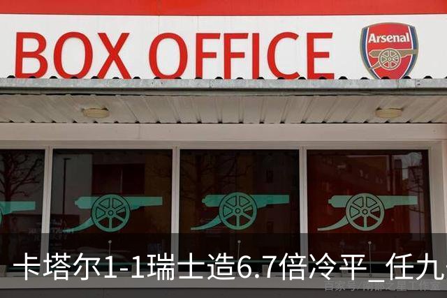 卡塔尔1-1瑞士造6.7倍冷平 任九开53注25.3万元