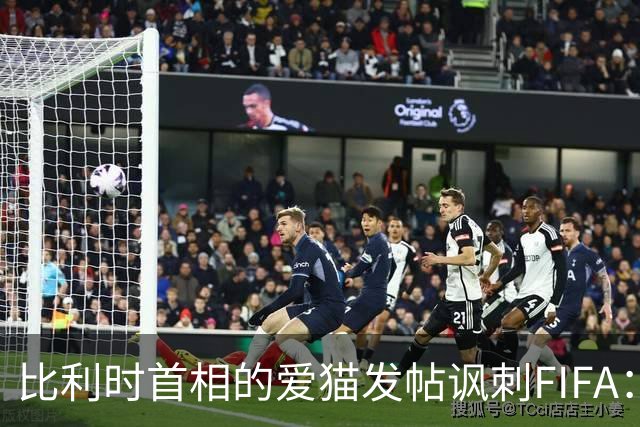 比利时首相的爱猫发帖讽刺FIFA：“红牌？”我照样继续踢！